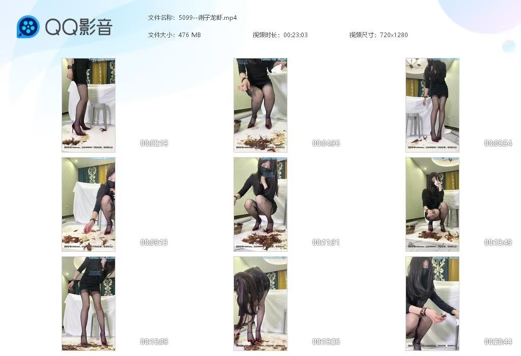 5099--俐子龙虾[